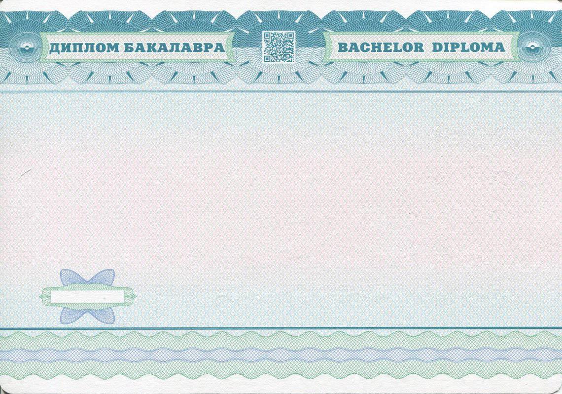 Украинский Диплом Бакалавра в Камышине 2014-2025 обратная сторона