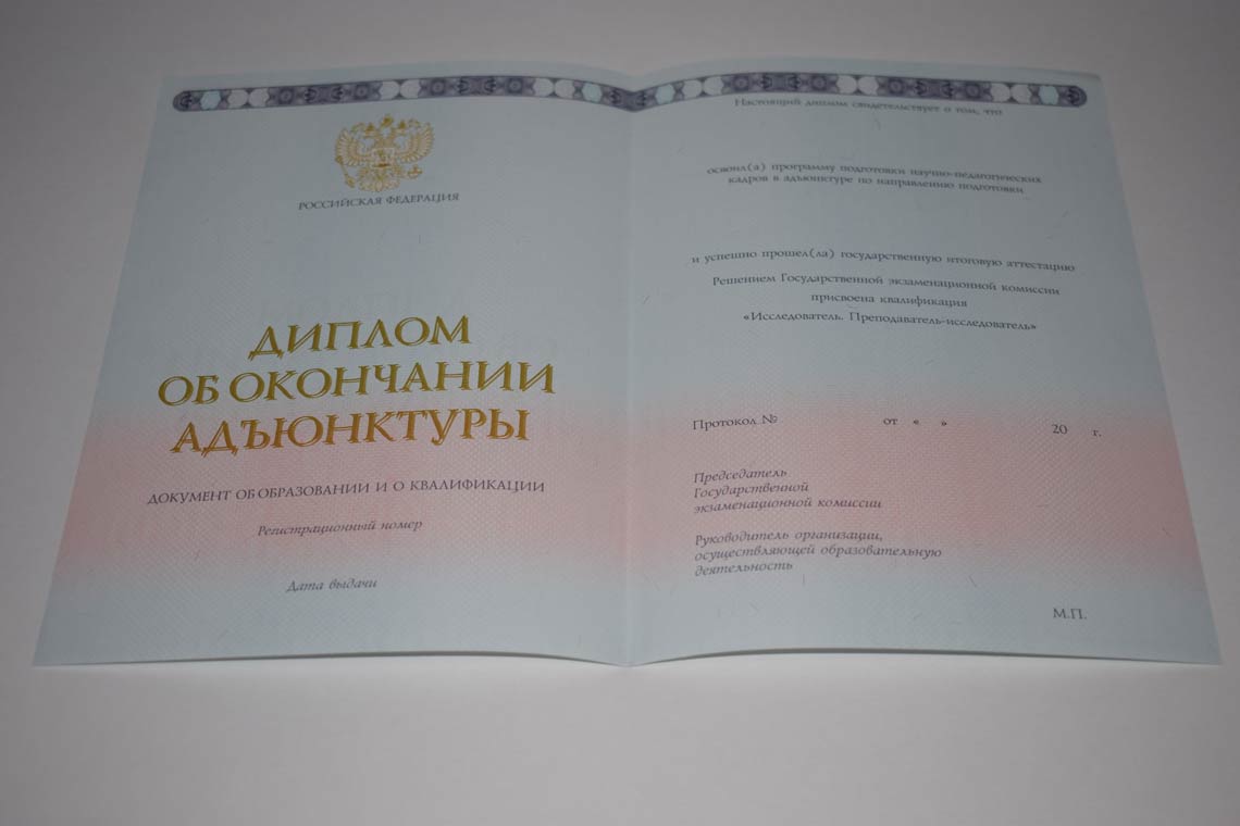 Диплом Адъюнктуры 2014-2025 в Камышине