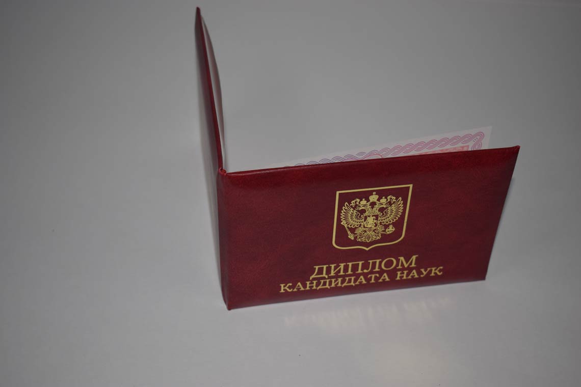 Диплом Кандидата Наук 2013-2016 в Камышине корка