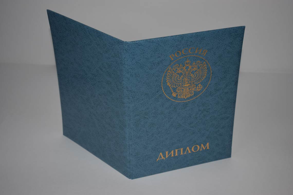 Диплом MBA 2011-2025 в Камышине корка
