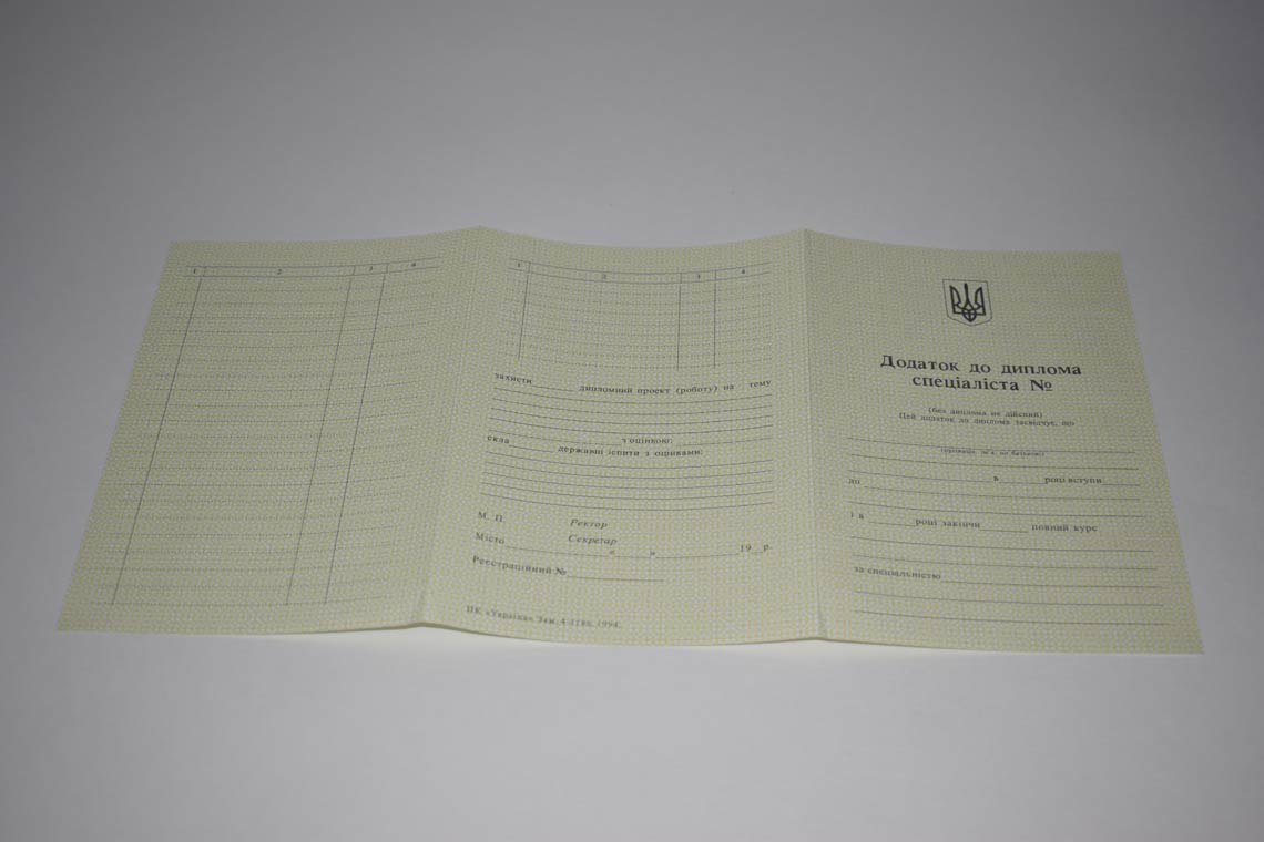 Украинский Диплом Вуза 1994-1999 в Камышине приложение
